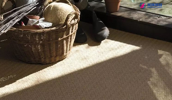 劍麻 滿鋪毯