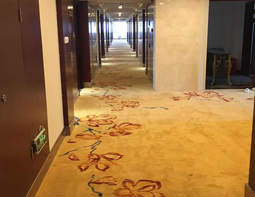 泰州市高港區(qū)國源大酒店地毯