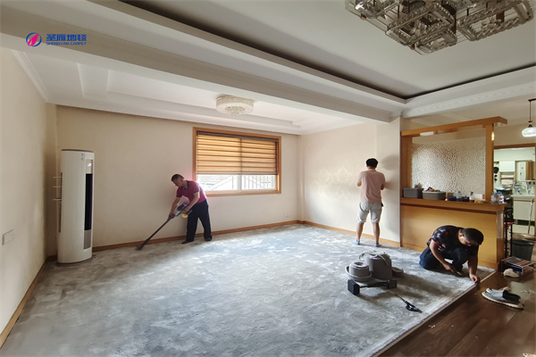 家用地毯吸塵