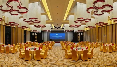 宴會(huì)廳手工地毯